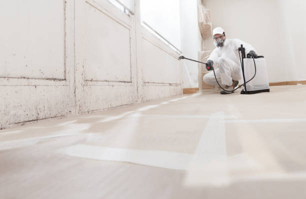 24/7 Emergency Mold Removal experts in Paeonian Springs, VA