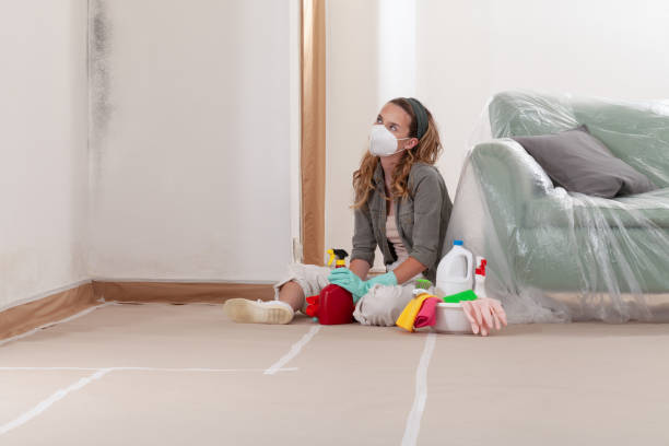 Reliable Mold Removal contractor in Paeonian Springs, VA by WQB Mold Removal